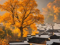 -塔川景区