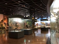 -陕西自然博物馆