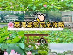 -荔湾湖公园