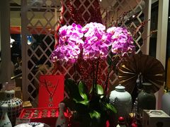 -衡山汇·高级粤菜(霄云路店)