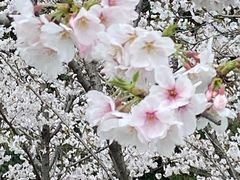 -龙美术馆(西岸馆)
