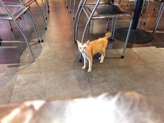 -燕青小馆(东园大厦店)