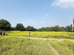 -长白岛森林公园