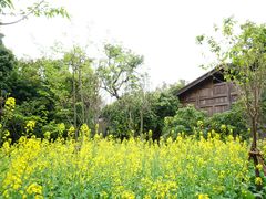 -福建鲤鱼洲酒店