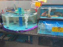 -大家发海鲜城夜排档(华山中路店)