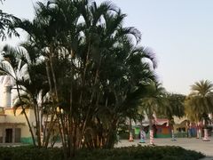 -珠海海泉湾神秘岛亲子乐园