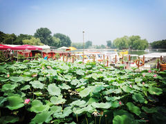 iphone_upload_pic-甲丁坊