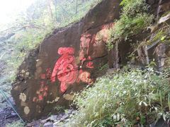 android_upload_pic-凤凰山国家森林公园