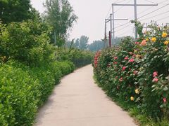 -意大利农场度假村
