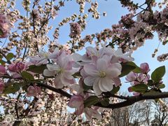 -元大都城垣遗址公园