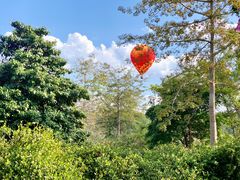 -中国科学院西双版纳热带植物园