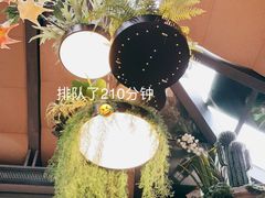 -屋顶花园餐厅(步行街老地王大厦店)