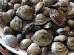 -港畔赶海蒸汽海鲜烧烤自助(仙螺岛店)