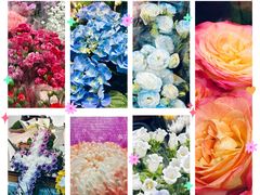 -溪岸路花鸟市场