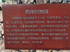 -广西壮族自治区药用植物园