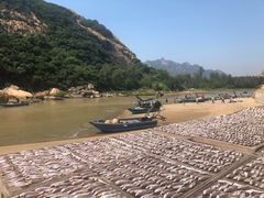 -胜记大排档·台山本地海鲜·台山黄鳝饭