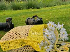 -Lamant Manor已闻花名關於藍
