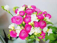 -双季花艺园艺市场(浦东店)