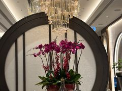 -万豪金殿(香港JW万豪酒店)