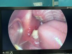 -爱诺耐芙动物医院(万博店)