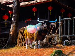 -深圳锦绣中华民俗村