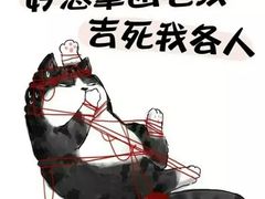 -戴师傅川西坝子(彩泉旗舰店)