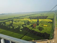android_upload_pic-稻梦空间