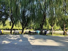 -团结湖公园