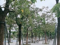 -深圳人才公园