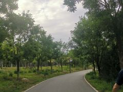 -东郊湿地公园