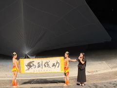 -灵玲国际马戏城