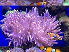 -多彩贵州城极地海洋世界