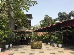 -先机泉水鸡汤(南山老君洞店)