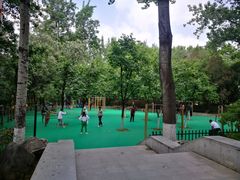 -西安市长乐公园