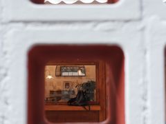 -LuluCake·路鹿蛋糕