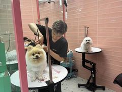 -FAELING PETS美天灵宠物(合生汇店)