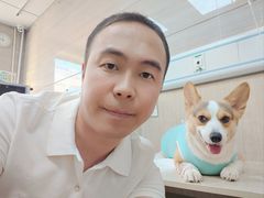 -北京观赏动物医院·24小时大型综合·猫专科·异宠专科