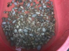 -芦潮港集贸市场