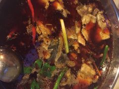 红锅-蜀滋香鲜鱼美蛙火锅(339店)