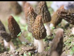 -大连冰峪旅游度假区