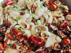 -百岁鱼(七一路店)