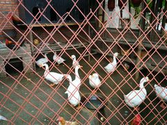 -鱼窝棚柴火铁锅炖(富山屯店)