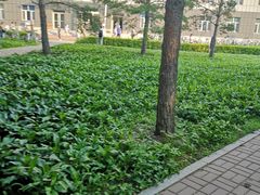 -吉林大学(前卫南区)