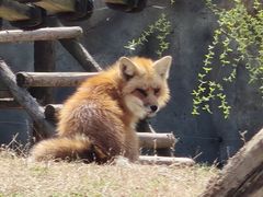 -祥源·阜阳生态乐园