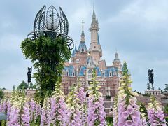 -上海迪士尼度假区