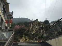 -老幺泉水鸡