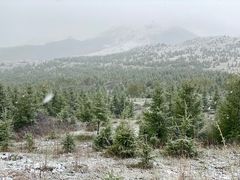 -灵山
