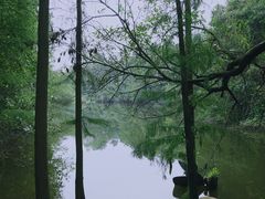 -天目湖山水园