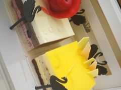 -BLACKSWAN黑天鹅(环球店)