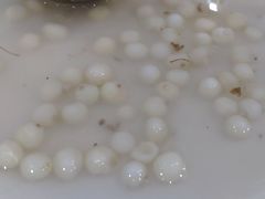 -吴门人家·苏宴宫廷菜(拙政园店)